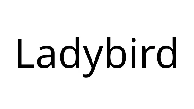Ladybird Browser in an Embedded Web Runtime